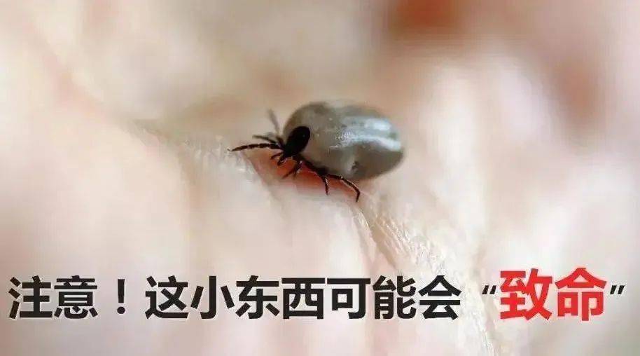 電子體溫計